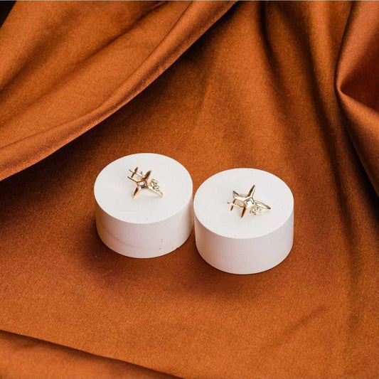Kutup Yıldızı Antialerjik Çelik Küpe Gold